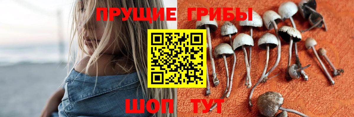 Железноводск  Галлюциногенные грибы мухоморы  Вход с VPN 