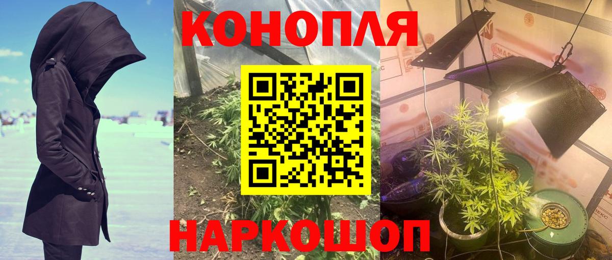 Железноводск  Конопля Bruce Banner  Каннабис индика  Конопля MAZAR  Каннабис тримм  Вход с VPN 